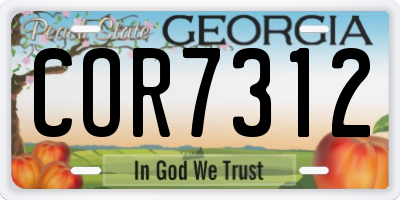 GA license plate COR7312