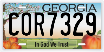 GA license plate COR7329