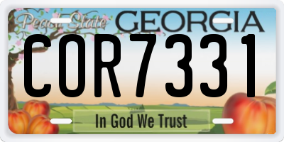 GA license plate COR7331