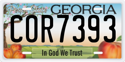 GA license plate COR7393