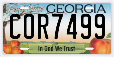 GA license plate COR7499