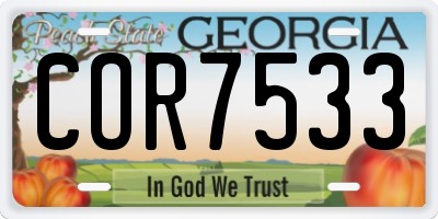 GA license plate COR7533