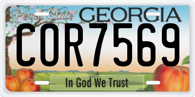 GA license plate COR7569