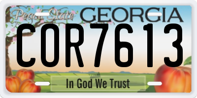 GA license plate COR7613