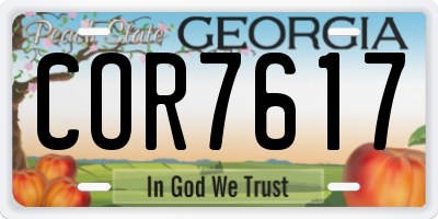 GA license plate COR7617