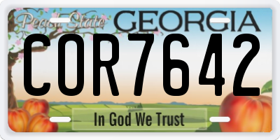 GA license plate COR7642