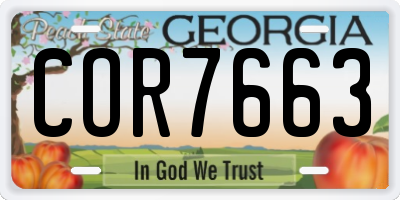 GA license plate COR7663