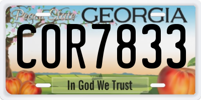 GA license plate COR7833