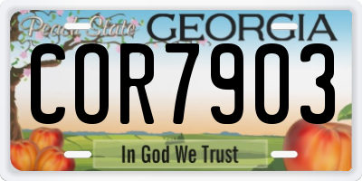 GA license plate COR7903