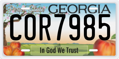 GA license plate COR7985