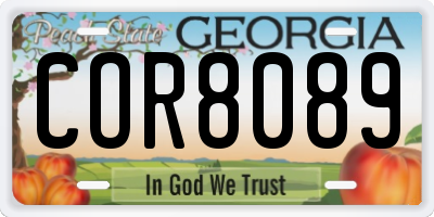 GA license plate COR8089