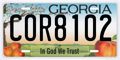 GA license plate COR8102