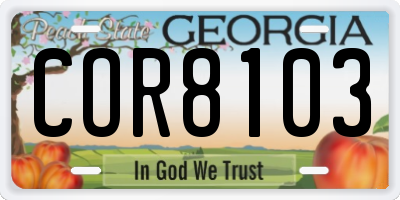 GA license plate COR8103