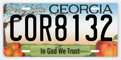 GA license plate COR8132