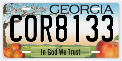GA license plate COR8133
