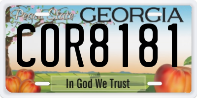 GA license plate COR8181