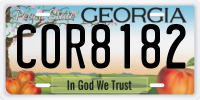 GA license plate COR8182