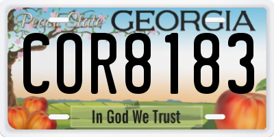 GA license plate COR8183