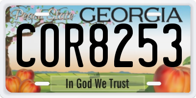 GA license plate COR8253