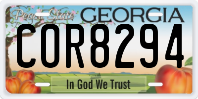 GA license plate COR8294