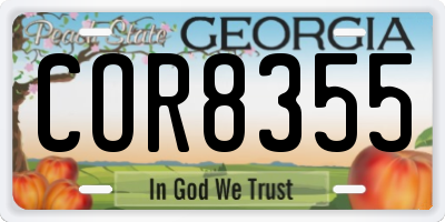 GA license plate COR8355