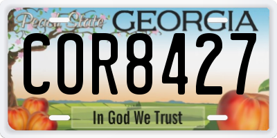 GA license plate COR8427
