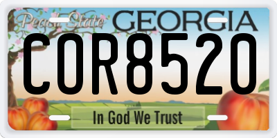 GA license plate COR8520
