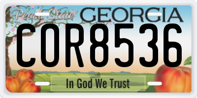 GA license plate COR8536