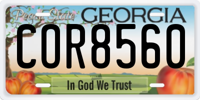 GA license plate COR8560