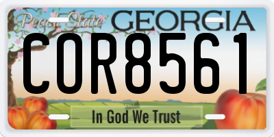 GA license plate COR8561