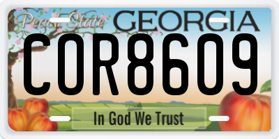 GA license plate COR8609