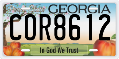 GA license plate COR8612