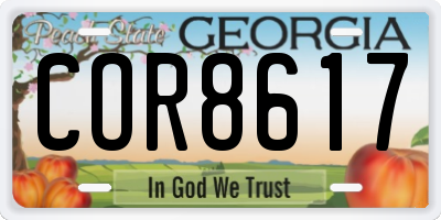 GA license plate COR8617