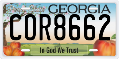 GA license plate COR8662