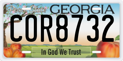 GA license plate COR8732