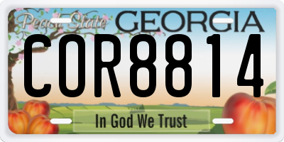 GA license plate COR8814