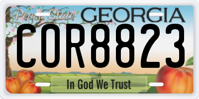 GA license plate COR8823