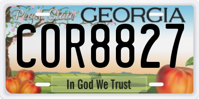 GA license plate COR8827
