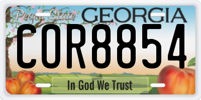 GA license plate COR8854
