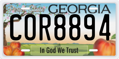 GA license plate COR8894
