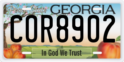 GA license plate COR8902