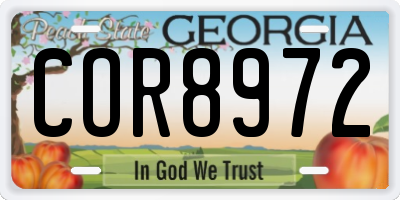 GA license plate COR8972
