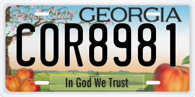 GA license plate COR8981