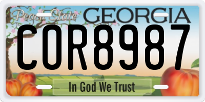 GA license plate COR8987
