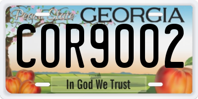GA license plate COR9002