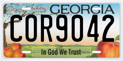 GA license plate COR9042