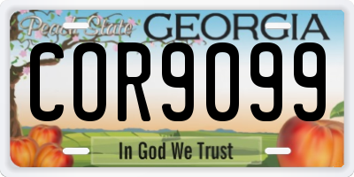 GA license plate COR9099