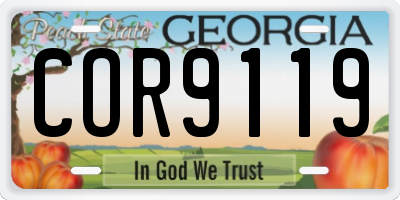 GA license plate COR9119