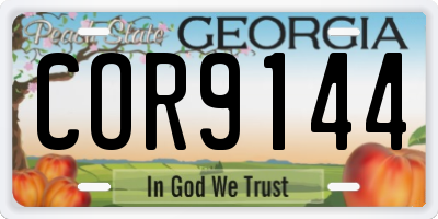 GA license plate COR9144