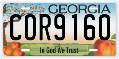 GA license plate COR9160